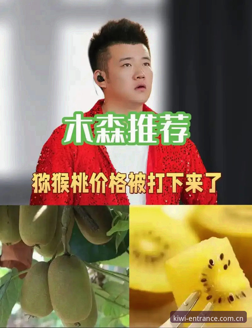 2025奇异果体育平台入口中国区官网安装教程详解